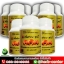 เนเจอร์พลัส nature-plus เห็ดหลินจือแดงสกัด