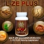 แอซีพลัส L-ZE-PLUSเห็ดหลินจือผสมโสมถั่งเช่าสาหร่าย