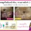 รีวิวทำดูดไขมัน รีวิวจากผู้ใช้จริง รีวิวหยุนหนานไป๋เหยา เหล่งเอี๊ยงExtra
