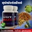 ซุปเปอร์แม็กซ์ super maxx อาหารเสริมชาย