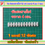 1x ข้อต่อสายไฟ 12 จุด ขนาด 4 มม 1 แผง