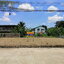 H1066 ขายด่วน ที่ดินถมแล้ว 90 ตร.วา อยู่ซอยงามวงศ์วาน31 แยก16 ใกล้พันธ์ทิพย์ งามวงศ์วาน ที่สวย กว้าง 22 เมตร ลึก 15 เมตร เข้าออกถนนประชาชื่นได้