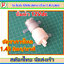 1x ปั๊มน้ำ 12Vdc อัตราการไหล 1.45 L/min